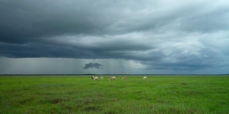 WWE12：一部重塑虚拟摔角体验的里程碑之作