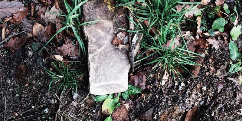 WWE21：从NXT新星到摔角狂热主赛，SmackDown如何塑造年度巅峰对决