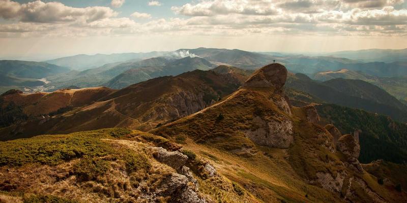 从RAW到摔角狂热：新手入门WWE体育娱乐的终极指南